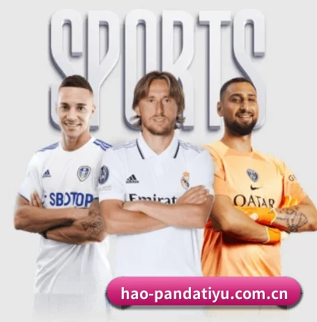 五大服务分区,信息按项目分类（PANDA）